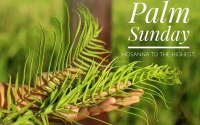 Palm Sunday