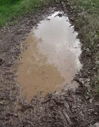 Mud Puddle