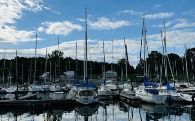 This view caused me to pause today as I took a deep breath and lingered there, looking at the cloud’s reflection.